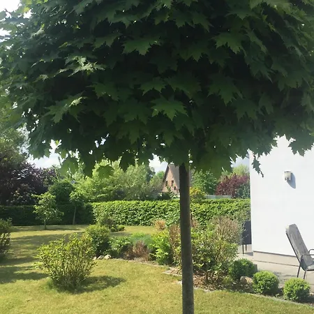 Ambiente Am * Zierow